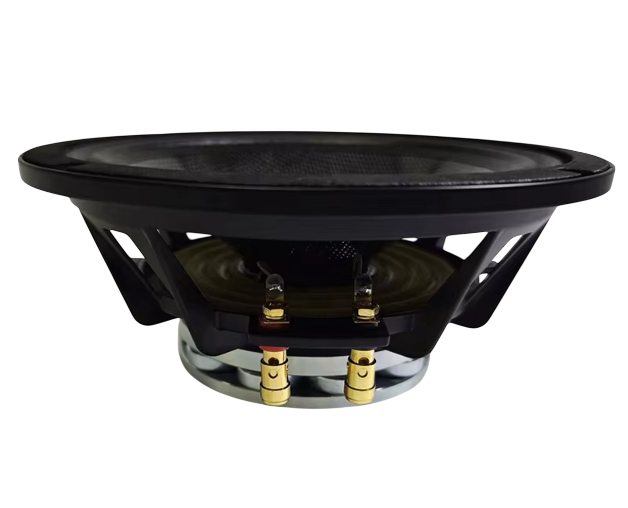 Tide Audio D8N 10 Inch Neo Midrange Speaker (PAIR)